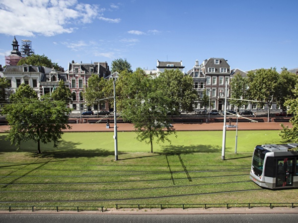 View on Westersingel - Summer