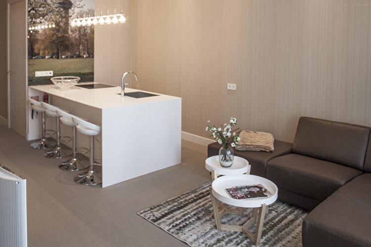 Family Balcony Apartment - Kitchen