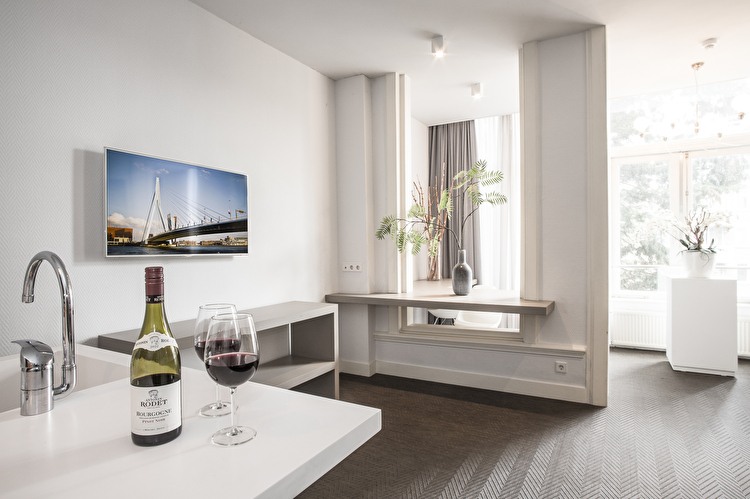 Garden View Apartment - Living Area