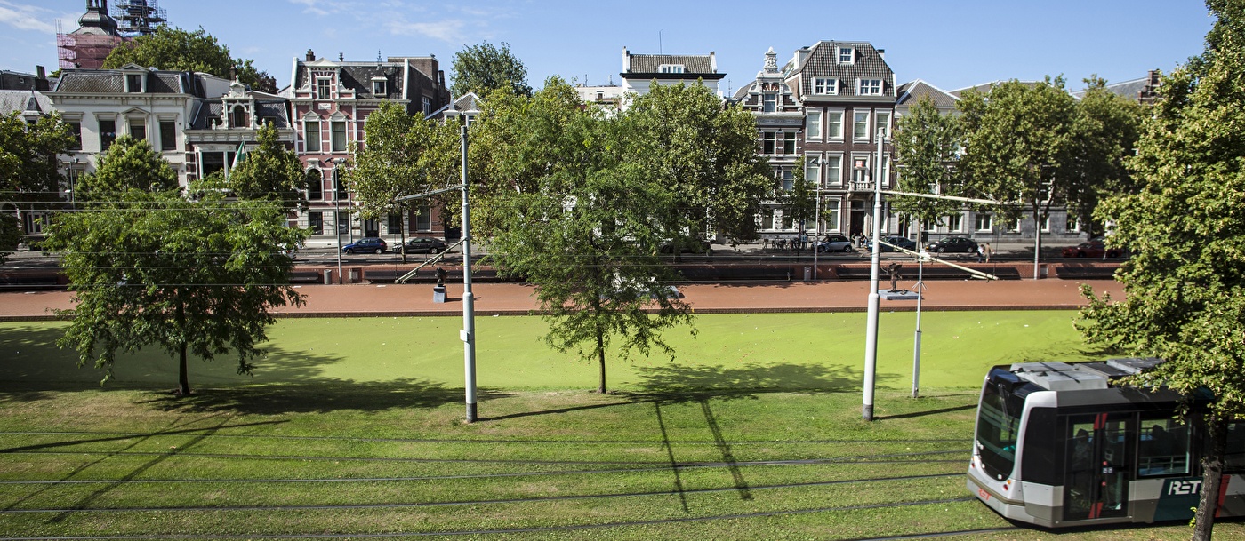 Apartments & Suites with wide canal view